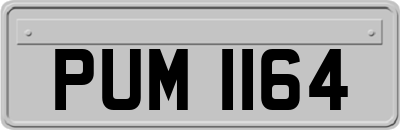 PUM1164