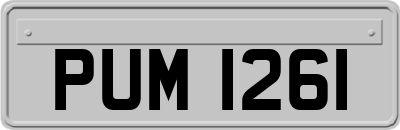 PUM1261
