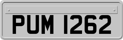 PUM1262