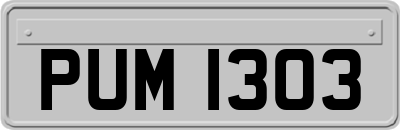 PUM1303