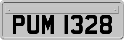 PUM1328