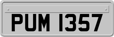 PUM1357