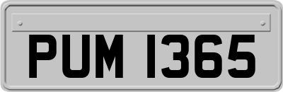PUM1365