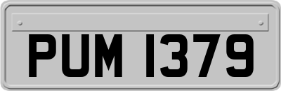 PUM1379