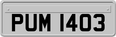 PUM1403
