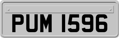 PUM1596