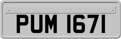 PUM1671