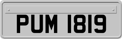 PUM1819