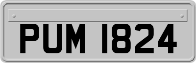 PUM1824