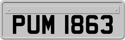 PUM1863