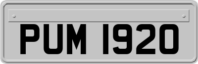 PUM1920