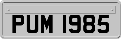 PUM1985