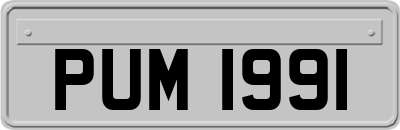 PUM1991