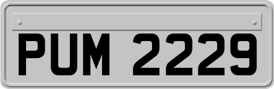 PUM2229
