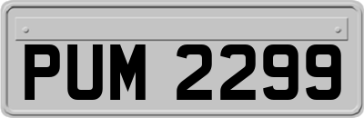 PUM2299