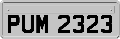 PUM2323