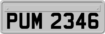 PUM2346