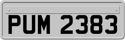 PUM2383