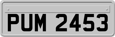 PUM2453