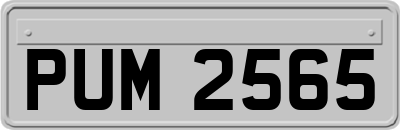 PUM2565