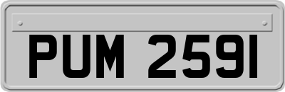 PUM2591