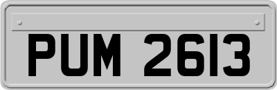 PUM2613