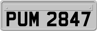 PUM2847