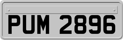 PUM2896