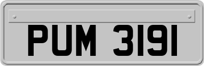 PUM3191