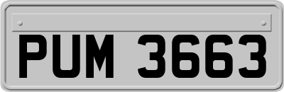 PUM3663