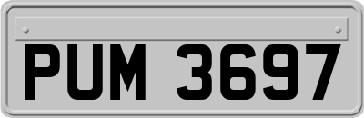 PUM3697
