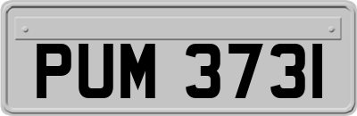 PUM3731