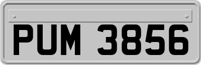 PUM3856