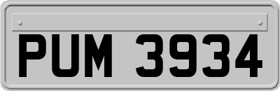 PUM3934