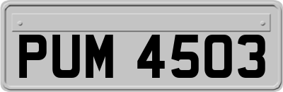 PUM4503