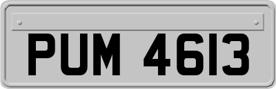 PUM4613