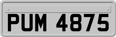 PUM4875