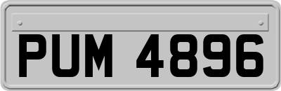 PUM4896