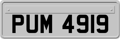 PUM4919