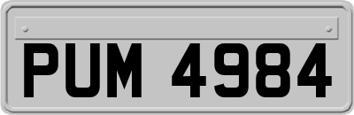 PUM4984