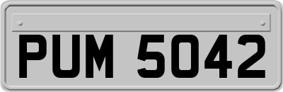 PUM5042