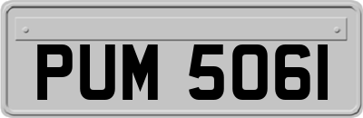 PUM5061