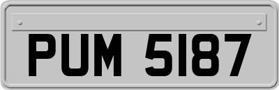 PUM5187