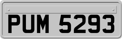 PUM5293