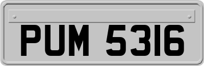 PUM5316