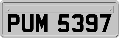 PUM5397