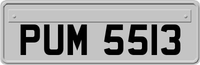 PUM5513