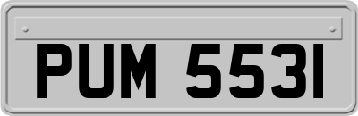 PUM5531