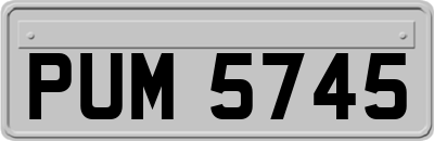 PUM5745