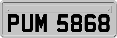 PUM5868
